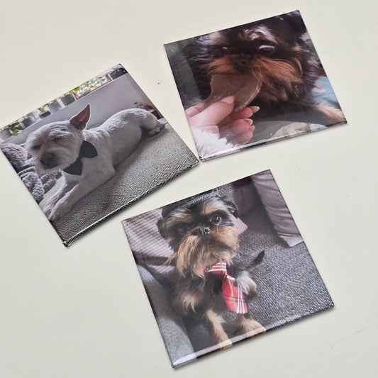 2" x 2" Custom Magnets